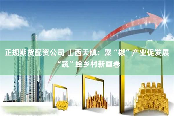 正规期货配资公司 山西天镇：聚“椒”产业促发展 “蔬”绘乡村新画卷