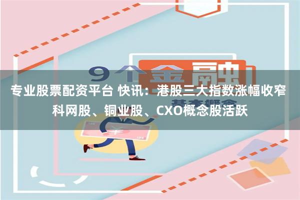 专业股票配资平台 快讯：港股三大指数涨幅收窄 科网股、铜业股、CXO概念股活跃