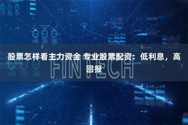 股票怎样看主力资金 专业股票配资：低利息，高回报